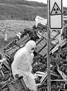 Tchernobyl, le monde d’après