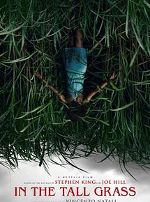Dans les hautes herbes streaming