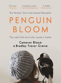 Penguin Bloom streaming