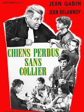 Chiens perdus sans collier