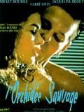 L'Orchidée sauvage