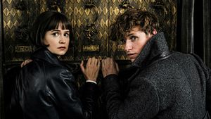 Les Animaux fantastiques 3 : enfin une date de tournage pour Dumbledore et Cie !