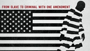 Netflix : comment le documentaire The 13th est redécouvert depuis l