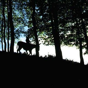 Le Monde vivant : Photo