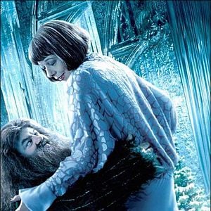 Harry Potter et la Coupe de Feu : Affiche