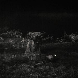 Night fishing : photo