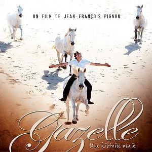 gazelle pignon gazelle pignon