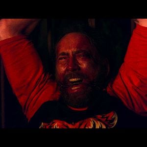 wild at heart/mandy film wild at heart/mandy film