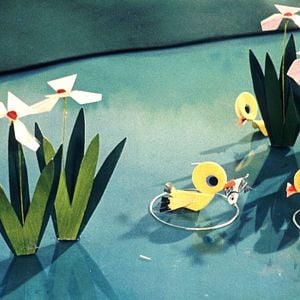 Les Petits canards de papier : Photo