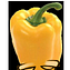 dieujaune