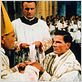 Le Cardinal : photo