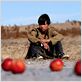Shizo : photo Gulshat Omarova, Olzhas Nusupbaev