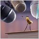 Bee movie - drôle d'abeille : photo Simon J. Smith, Steve Hickner