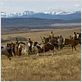 Into the West : photo