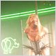 Zombie Strippers! : photo Jay Lee, Jenna Jameson