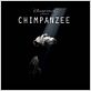 Chimpanzés : photo Alastair Fothergill, Mark Linfield
