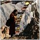 Milarépa, la voie du bonheur : photo Jamyang Lodro, Neten Chokling