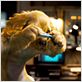 Comme chiens et chats - La Revanche de Kitty Galore : photo Brad Peyton, Kevin Lima