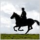 Cheval de guerre : Photo Jeremy Irvine, Steven Spielberg