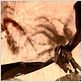 Dragon Dynasty : photo