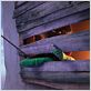 Le Lorax : Photo Chris Renaud, Cinco Paul, Ken Daurio