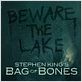 Bag Of Bones : photo