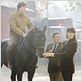 Jappeloup : photo Daniel Auteuil, Guillaume Canet, Marina Hands