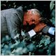 L'Ami retrouvé : photo Jason Robards