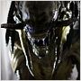 Aliens vs. Predator - Requiem