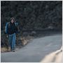 Into the Wild