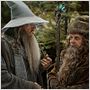 Le Hobbit : un voyage inattendu