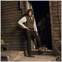 Copper : photo Tom Weston-Jones