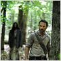 Photo Andrew Lincoln