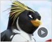 Les Rois de la glisse Teaser VF Les Rois de la glisse Teaser VF