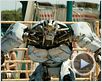 Real Steel Bande-annonce (2) VO Real Steel Bande-annonce (2) VO