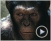 La Planète des singes : les origines Bande-annonce (3) VF La Planète des singes : les origines Bande-annonce (3) VF