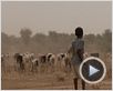 Carnets d'un grand détour Bande-annonce Carnets d'un grand détour Bande-annonce