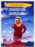 Pink Flamingos