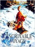 L'Incroyable Voyage