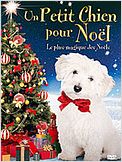 Un Petit chien pour Noël