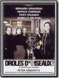 Drôles d'oiseaux !