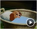 La Belle et le Clochard Extrait vidéo (3) VO