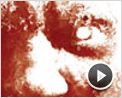 La Minute N°287 - Lundi 11 août 2008