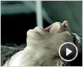 Eden Log Teaser VF