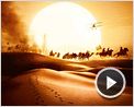 Plein 2 Ciné N°136 - Les films du 23 novembre 2011