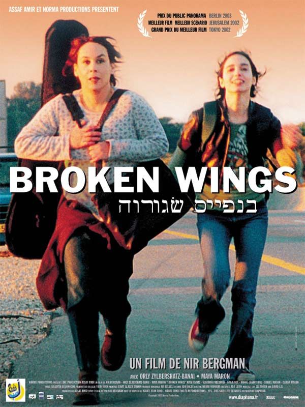 broken-wings-film-2002-allocin