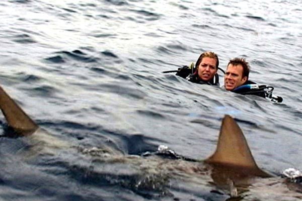 Open water en eaux profondes Open water en eaux profondes