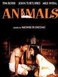 Affiche du film Animals