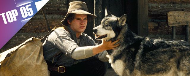 Netflix Les Loups Du Millénaire Film Le Top 5 des loups au cinéma - Actus Ciné - AlloCiné