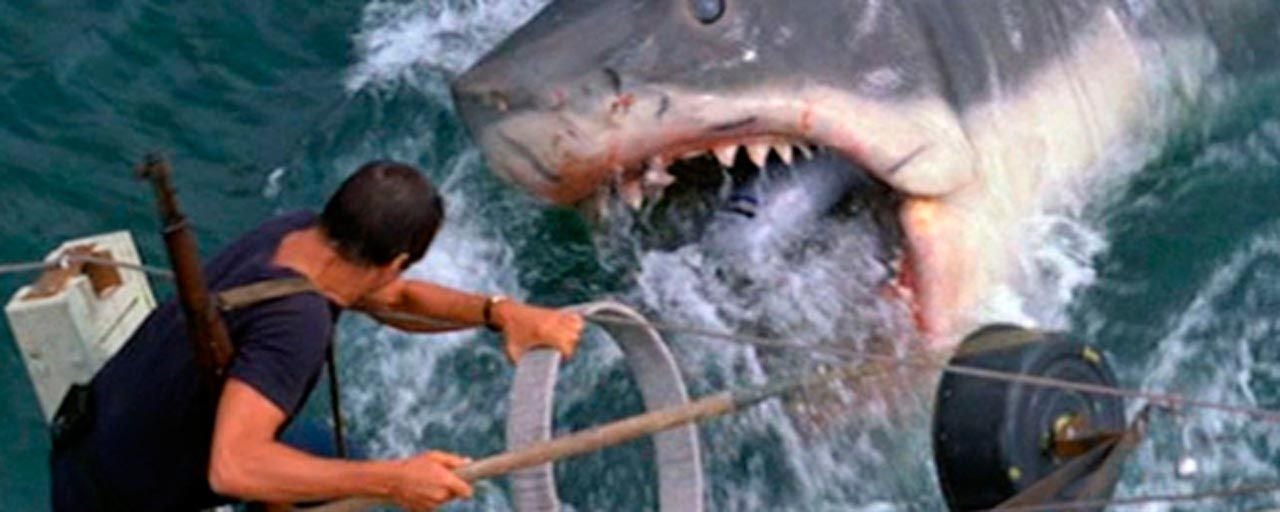 Les Dents de la mer sur OCS Géants : la terrifiante histoire vraie à l'origine du film...